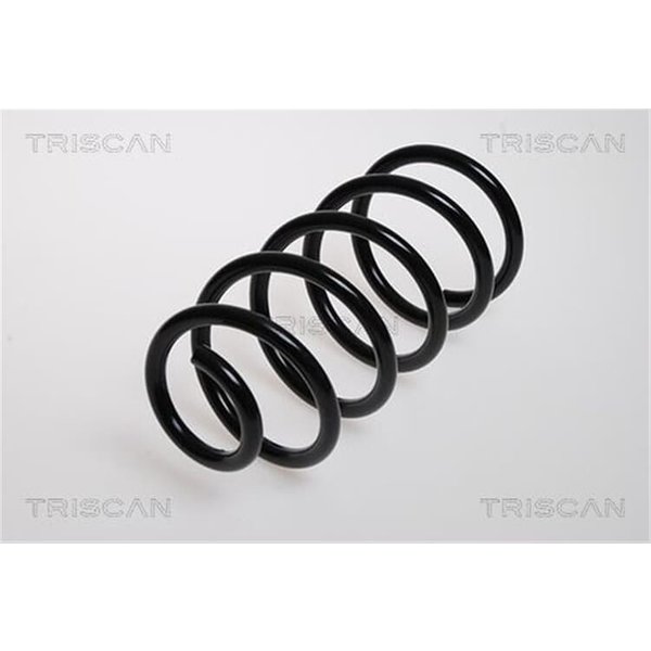 Triscan Feder Hinten Fiat Punto 188 87501581-image