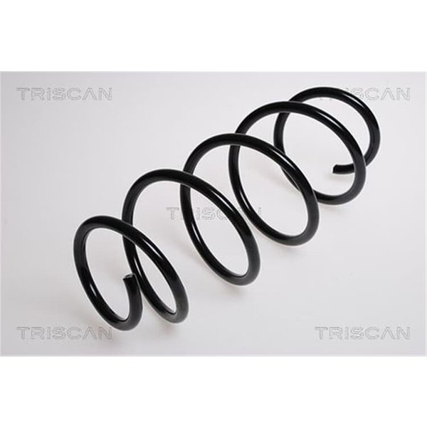 Triscan Feder Vorne Ford Fiesta 5 875016008-image
