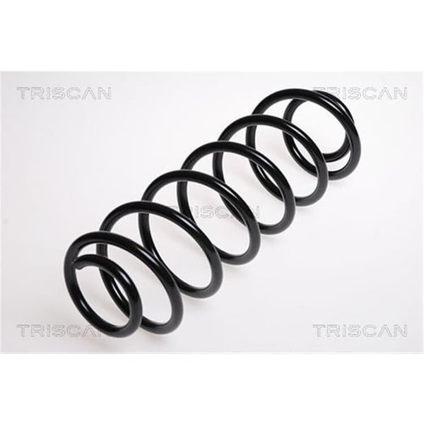 Triscan Feder Hinten Ford Fiesta 5-image