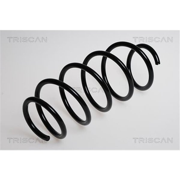 Triscan Feder Vorne Ford Fusion 875016016-image