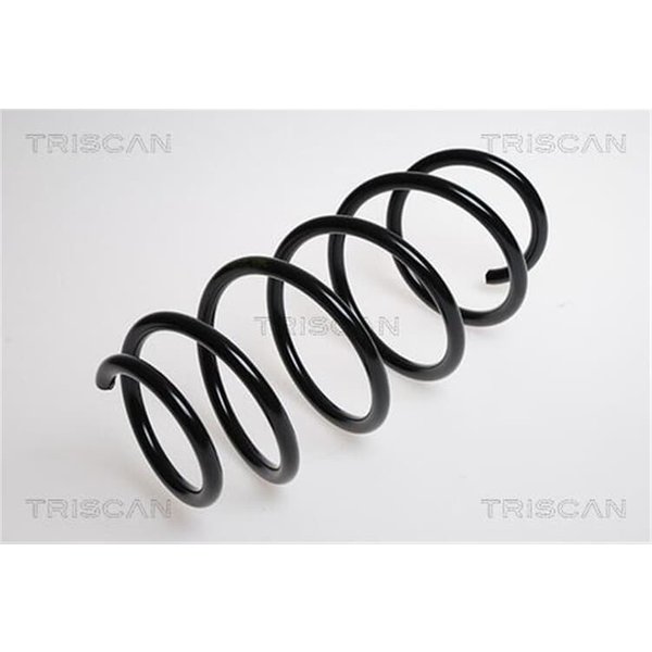 Triscan Feder Vorne Ford Fusion 1,4-image