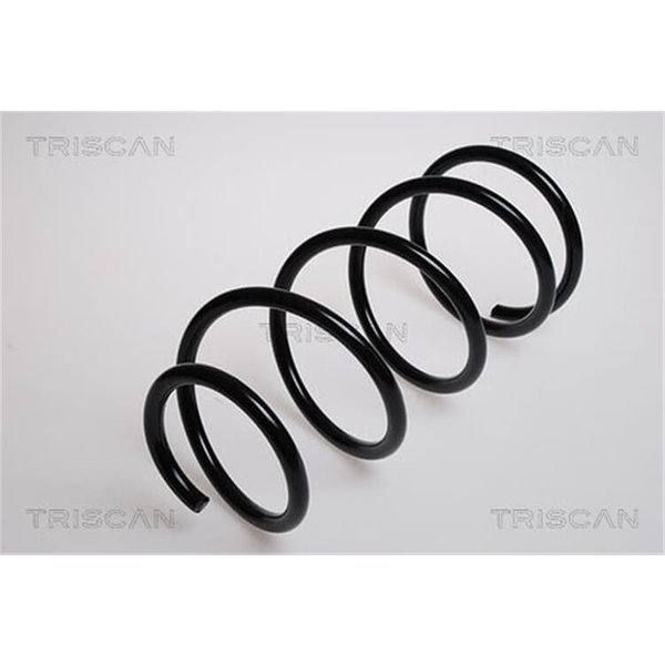 Triscan Feder Vorne Ford Maverick-image
