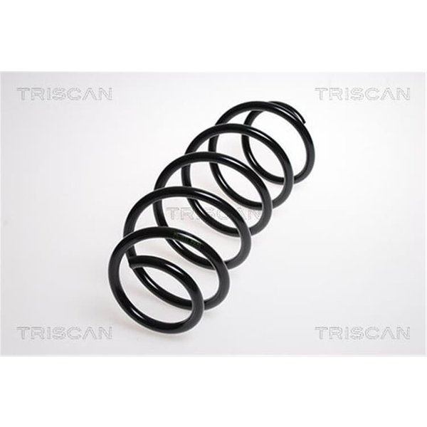 Triscan Feder Vorne Ford Fiesta 5 875016048-image