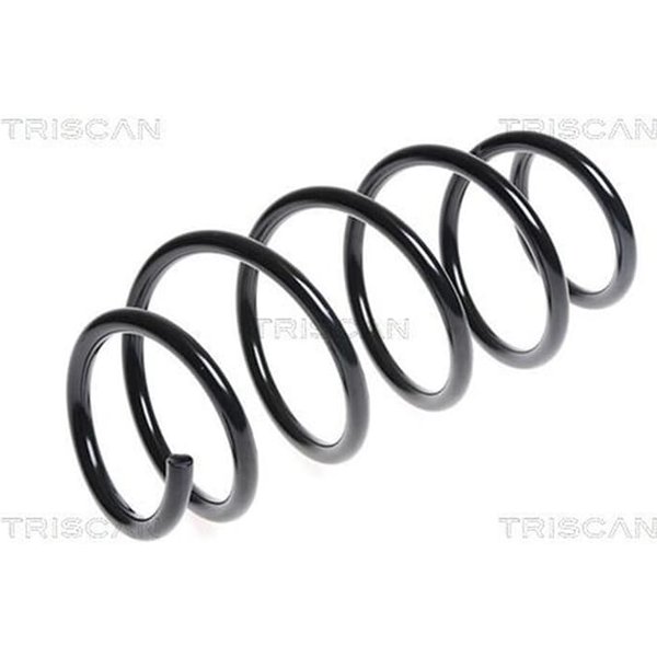 Triscan Feder Vorne Ford Fiesta 6 875016073-image