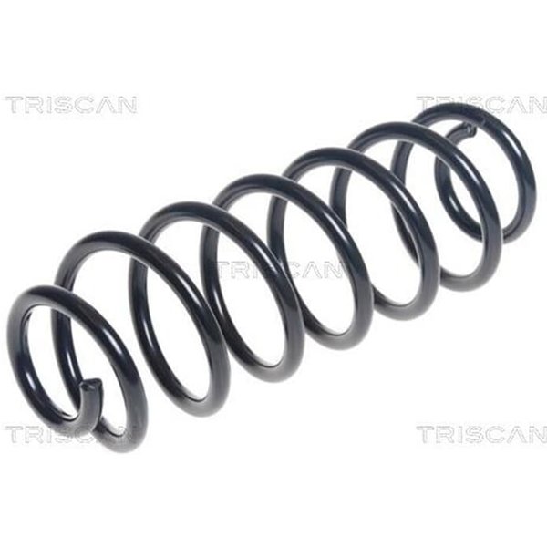 Triscan Feder Hinten Ford Fiesta 6 875016119-image