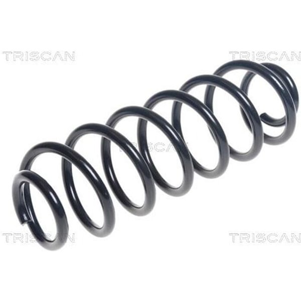 Triscan Feder Hinten Ford B-Max-image