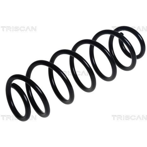 Triscan Feder Hinten Ford Fiesta 7-image