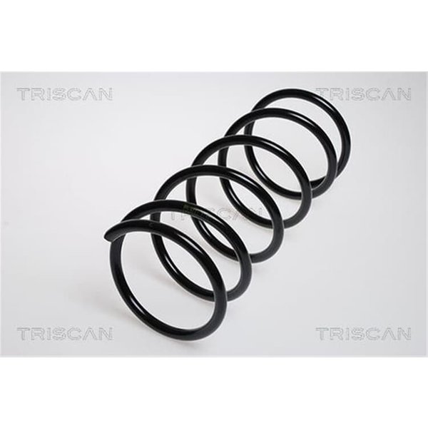 Triscan Feder Vorne Ford Escort-image