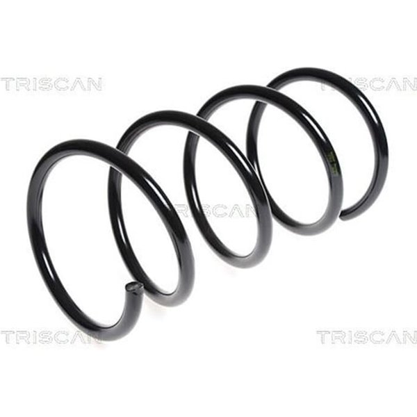 Triscan Feder Vorne Kia Carens 2,0 87501839-image