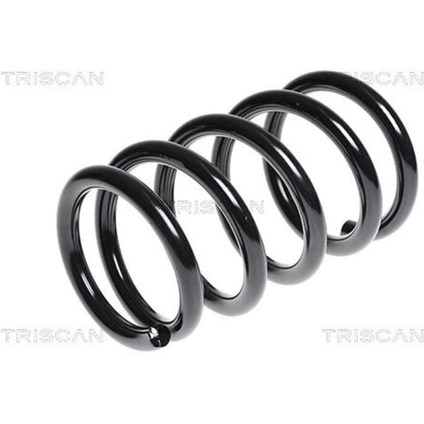 Triscan Feder Hinten Kia Carnival 3-image