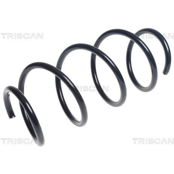 Triscan Feder Vorne Mercedes A-Klasse B-Klasse Cla 875023175-image