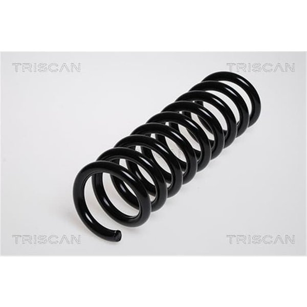 Triscan Feder Hinten Mercedes E-Klasse W210-image