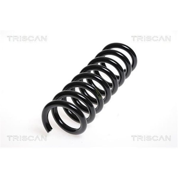 Triscan Feder Hinten Mercedes Cls E-Klasse-image