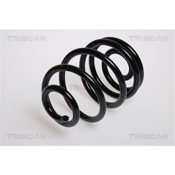 Triscan Feder Hinten Opel Astra F-image