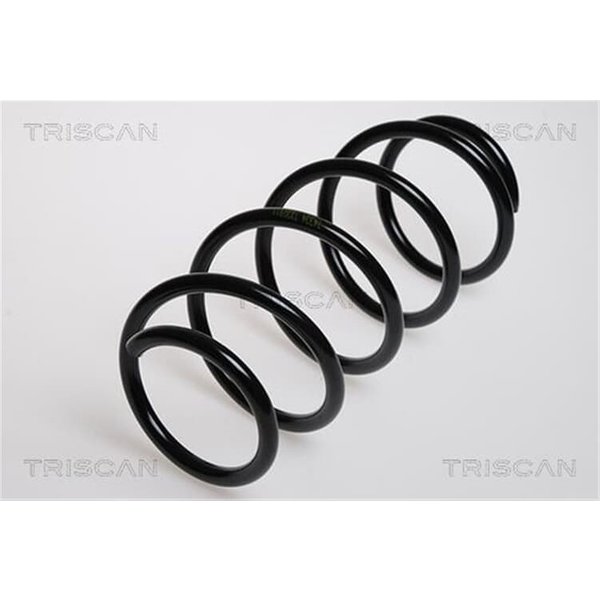Triscan Feder Vorne Opel Corsa C 875024029-image