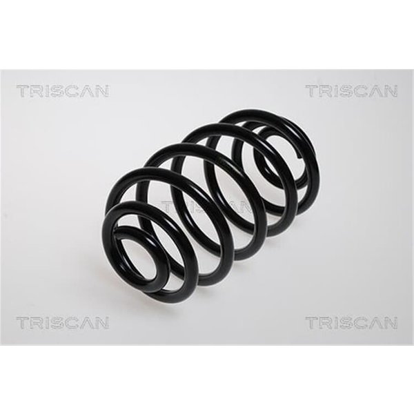 Triscan Feder Hinten Opel Astra G 875024045-image