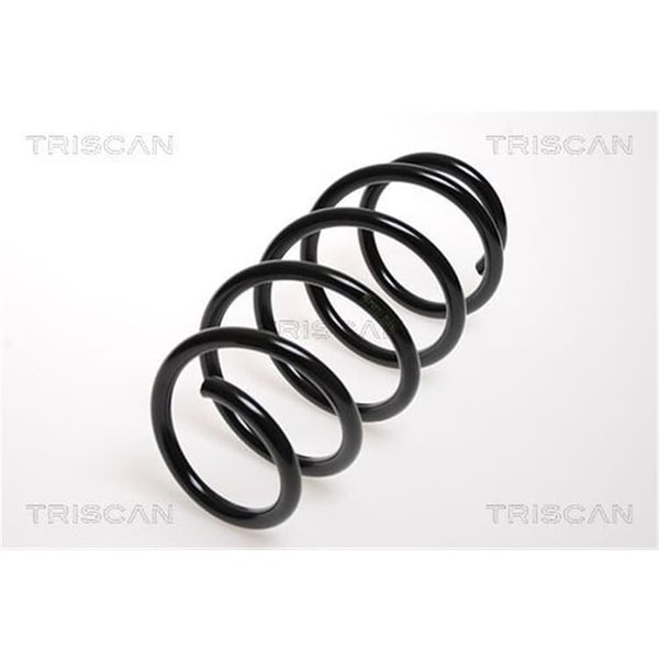 Triscan Feder Vorne Opel Combo Corsa-image