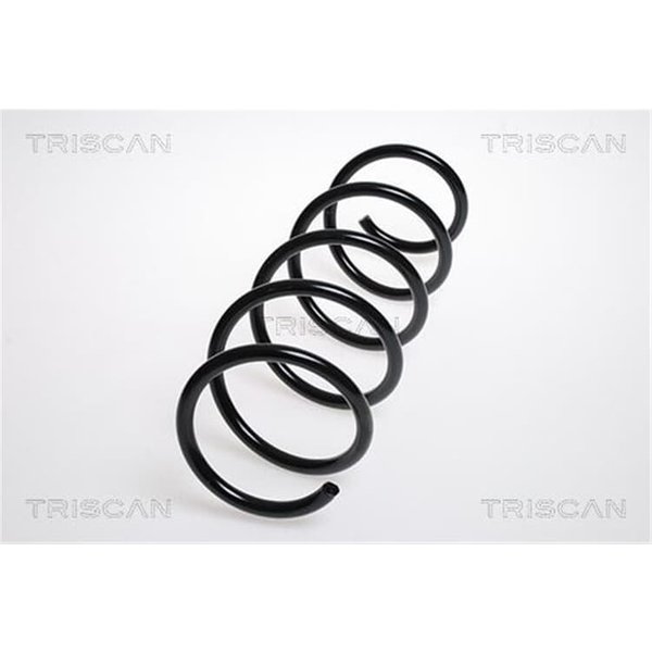 Triscan Feder Vorne Opel Corsa D 875024133-image