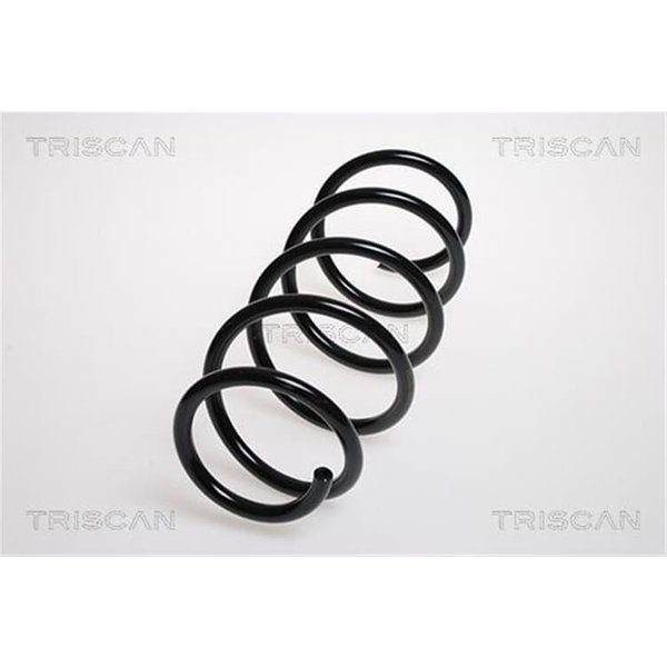Triscan Feder Vorne Opel Corsa D 875024137-image