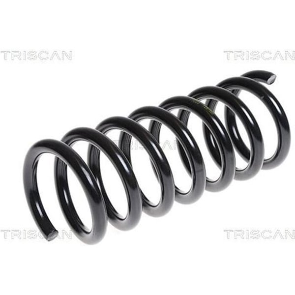 Triscan Feder Hinten Chevrolet Captiva Opel Antara-image