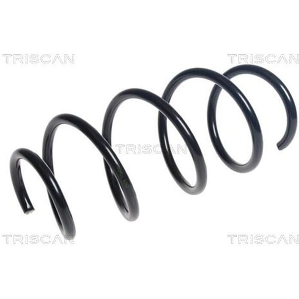 Triscan Feder Vorne Opel Corsa E 875024202-image