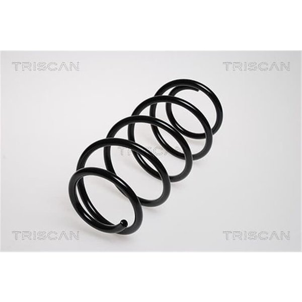 Triscan Feder Vorne Opel Astra F-image
