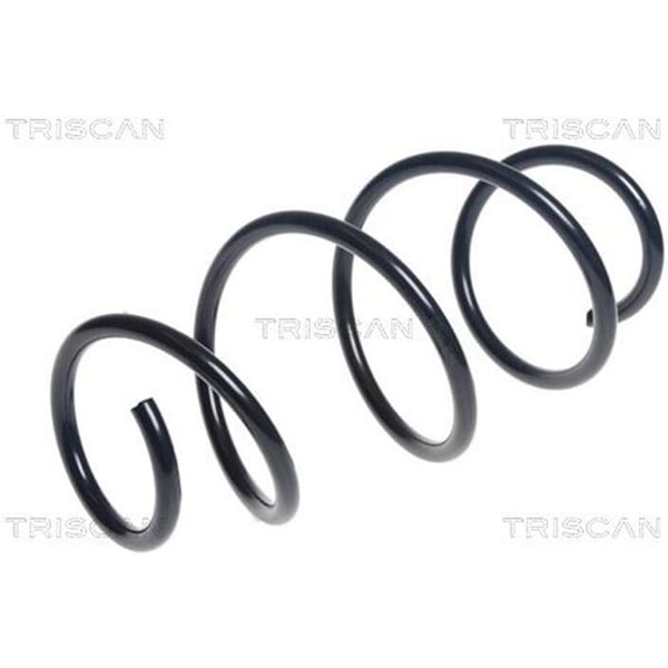 Triscan Feder Vorne Renault Clio 4 875025132-image