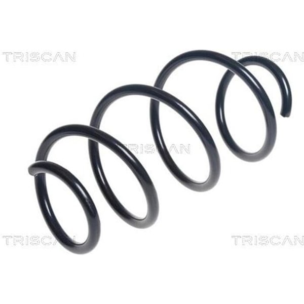 Triscan Feder Vorne Renault Clio 4 875025133-image