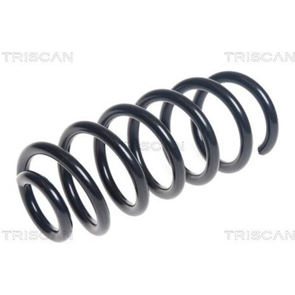 Triscan Feder Hinten Renault Clio 4 875025136-image