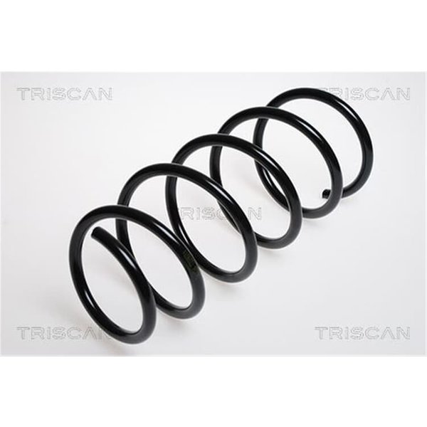 Triscan Feder Vorne Renault Clio Thalia-image