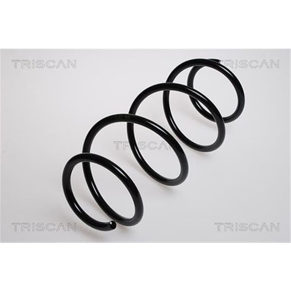 Triscan Feder Vorne Renault Laguna 2-image