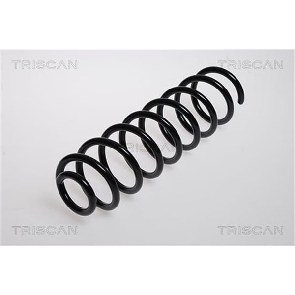 Triscan Feder Hinten Renault Megane 2 87502553-image