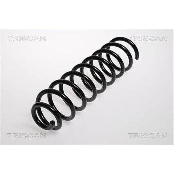 Triscan Feder Hinten Renault Megane 2 87502554-image