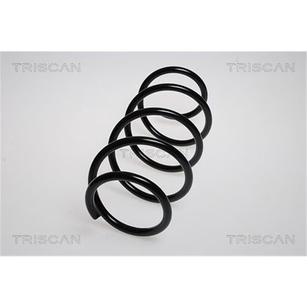 Triscan Feder Vorne Renault Megane 2 87502561-image