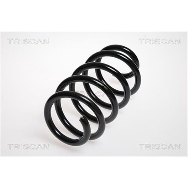 Triscan Feder Hinten Dacia Logan Renault Logan-image