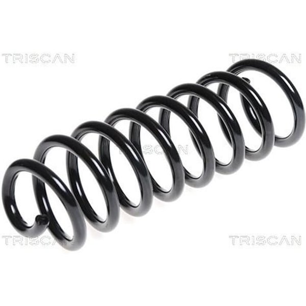 Triscan Feder Hinten Dacia Logan Sandero Renault Sandero/Stepway-image