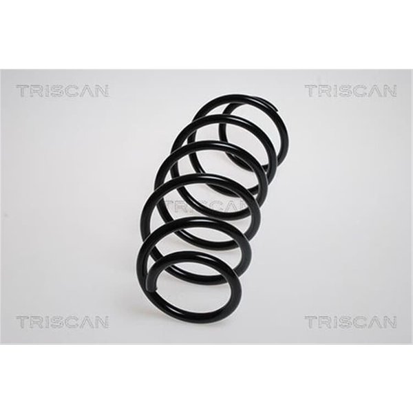 Triscan Feder Vorne Peugeot 207 207/207+ 1,4 875028103-image