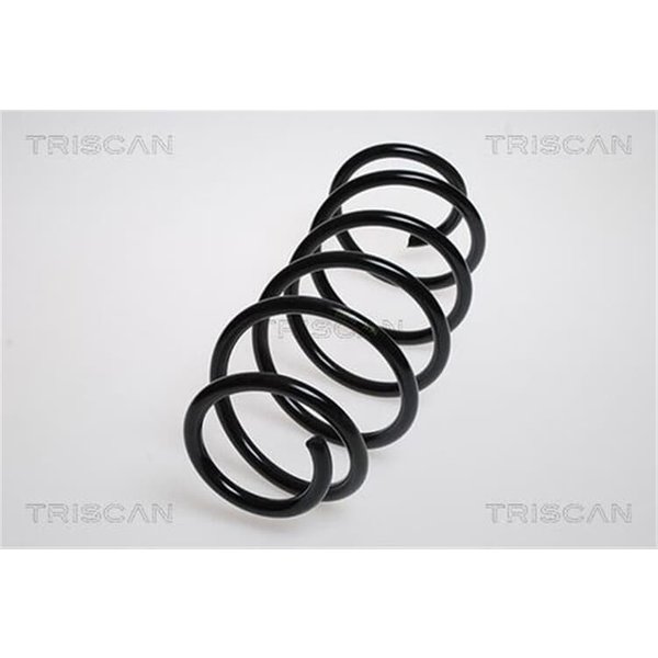 Triscan Feder Vorne Peugeot 207 207/207+ 875028105-image