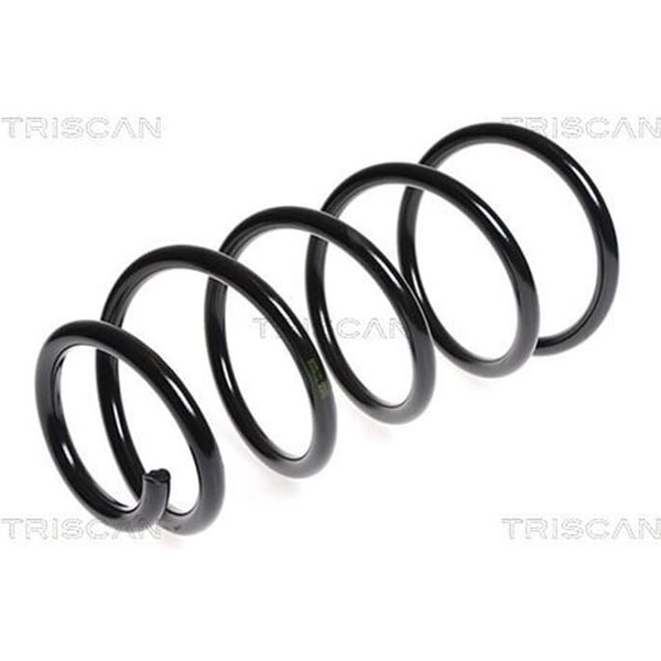 Triscan Feder Vorne Citroen Jumpy Peugeot Expert 2,0 875028147-image