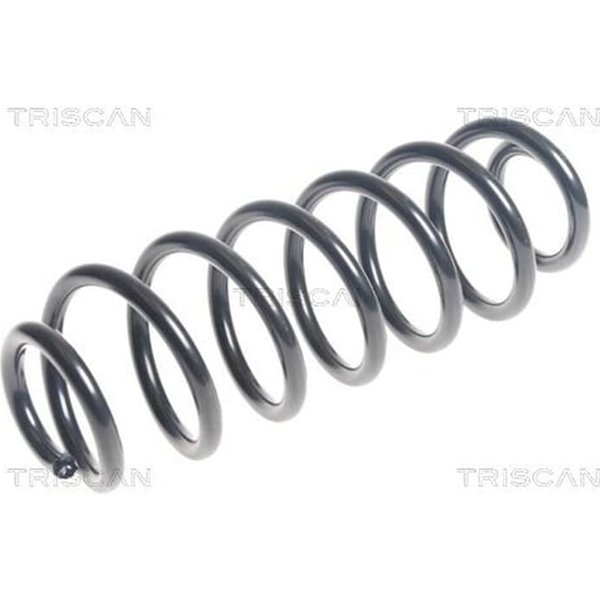 Triscan Feder Hinten Citroen C4 Ds4 875028242-image