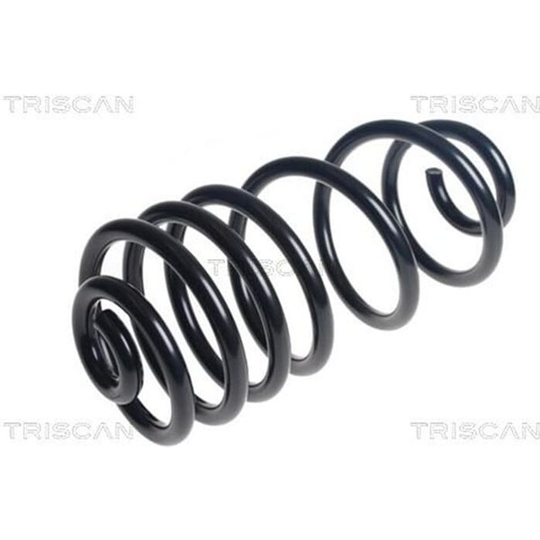 Triscan Feder Hinten Citroen Jumpy Peugeot Expert 875028314-image