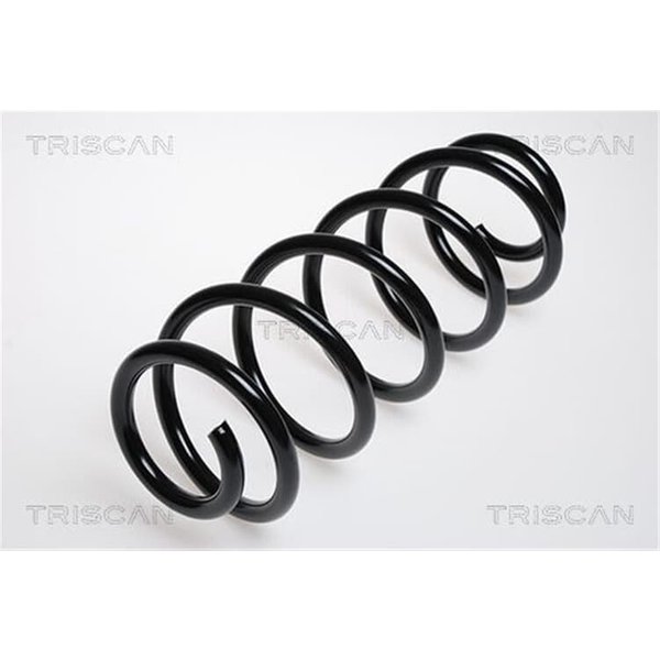 Triscan Feder Vorne Audi A4 B5 875029043-image