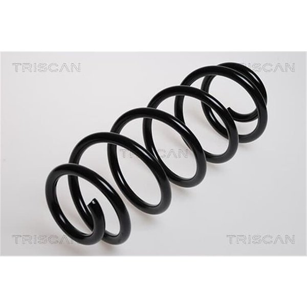Triscan Feder Vorne Audi A4 Vw Passat-image