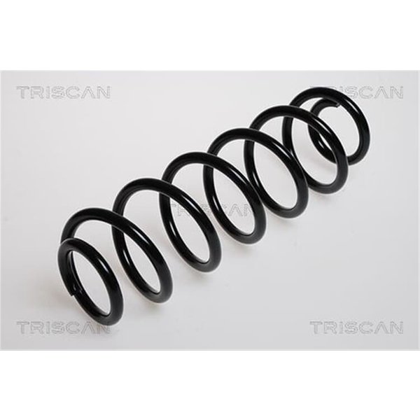 Triscan Feder Hinten Seat Toledo Skoda Rapid Vw Bora-image