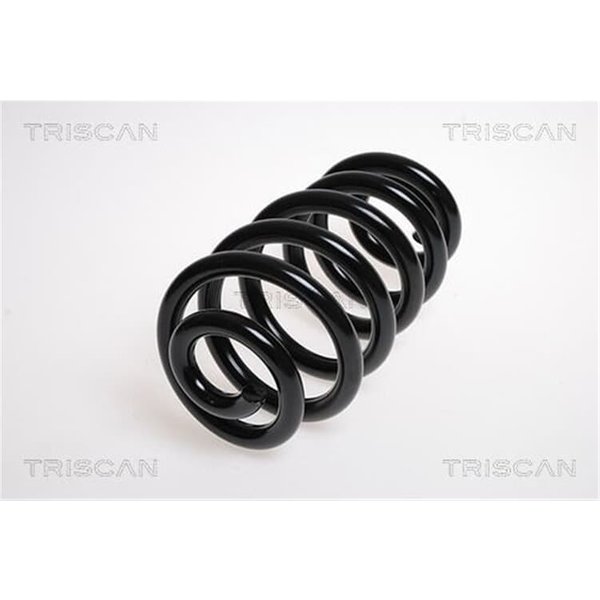Triscan Feder Hinten Audi A4 B6 B7 875029179-image