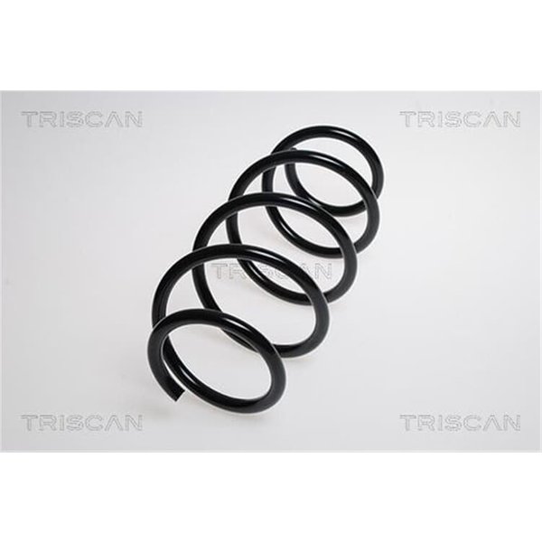 Triscan Feder Vorne Vw Fox Polo 1,4-image