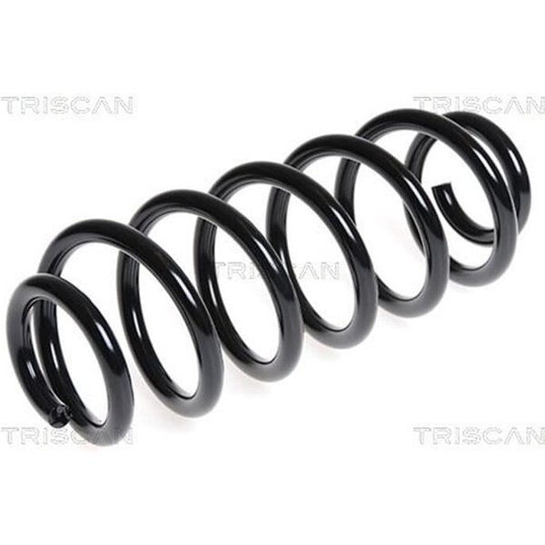 Triscan Feder Hinten Audi A3 Peugeot 308 Seat Altea Leon-image