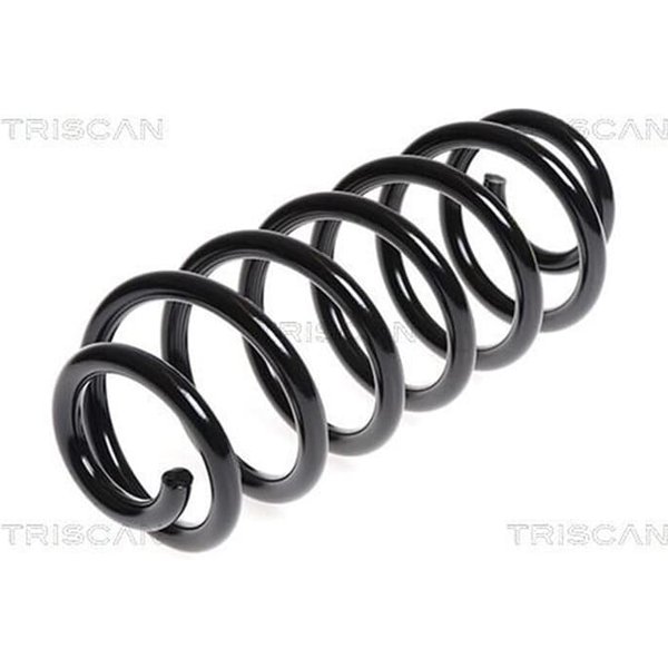 Triscan Feder Hinten Audi A3 Seat Leon 875029248-image