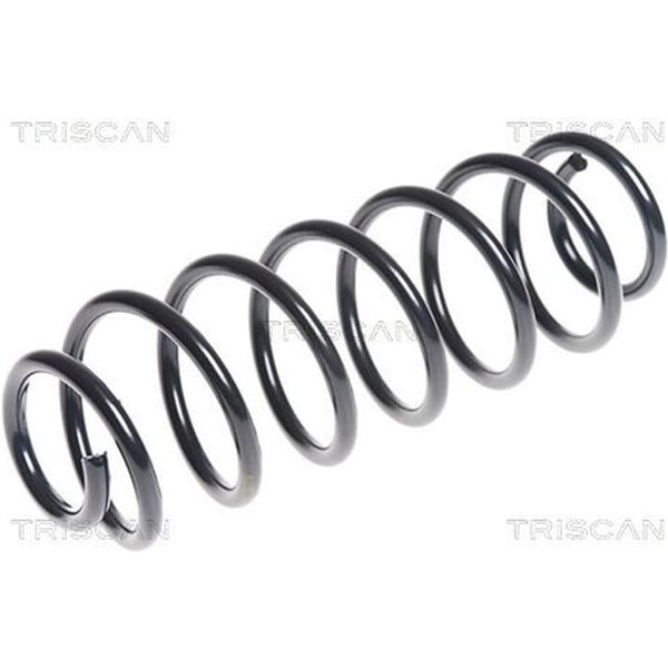 Triscan Feder Hinten Seat Ibiza Vw Polo 875029302-image