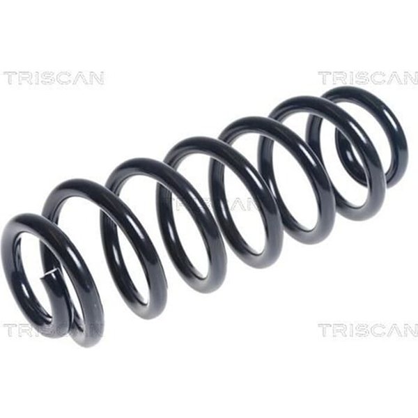 Triscan Feder Hinten Seat Alhambra Vw Sharan 875029368-image